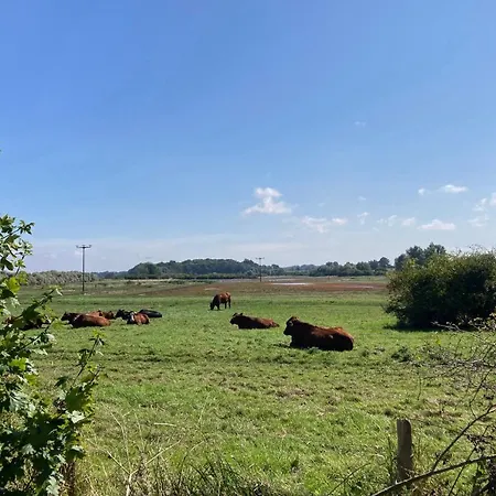 Lejlighed Bades Huk Haus 10 39 - Og Hohen Wieschendorf